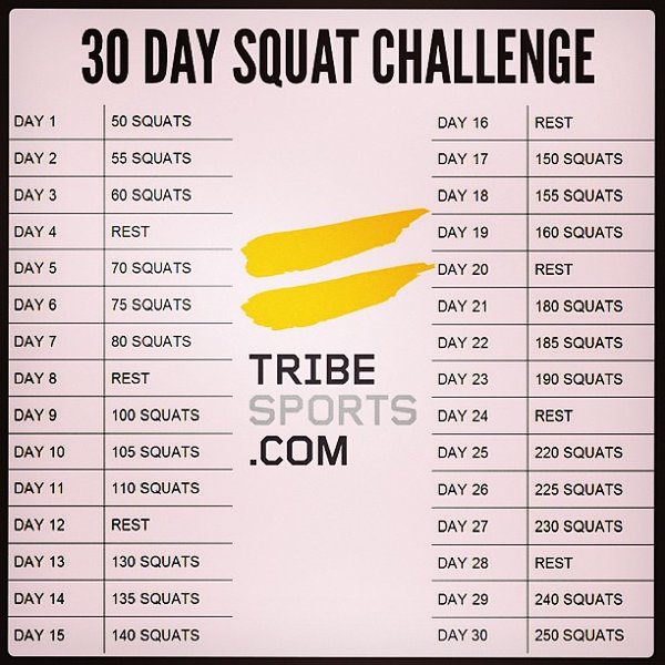 20130601131342-30-day-squat-challenge.jpg